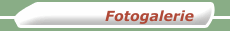 Fotogalerie