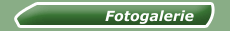Fotogalerie